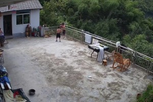 感觉住这边挺危险的？小男孩打球掉下山崖。大黄，走，下山捡球去